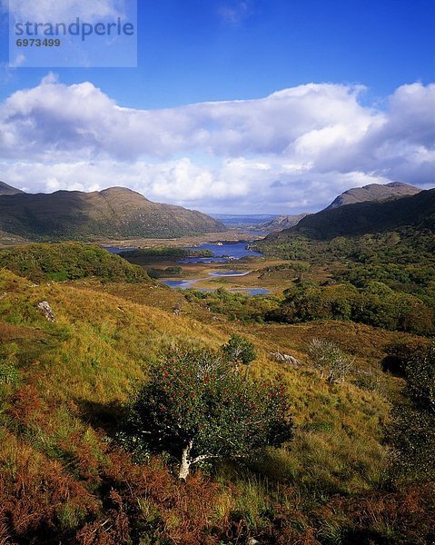 Irland  Killarney