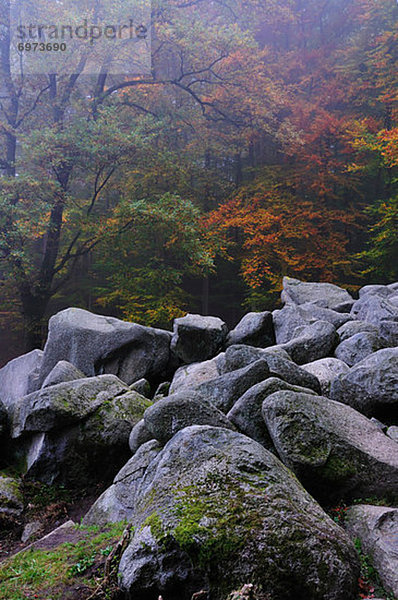 Deutschland  Hessen  Reichenbach