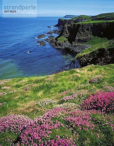 Irland