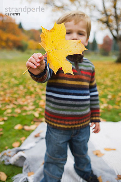 Vereinigte Staaten von Amerika  USA  Junge - Person  klein  Pflanzenblatt  Pflanzenblätter  Blatt  halten  Herbst  Portland  Ahorn  Oregon