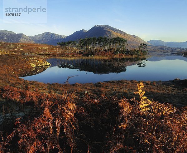 Connemara  Irland