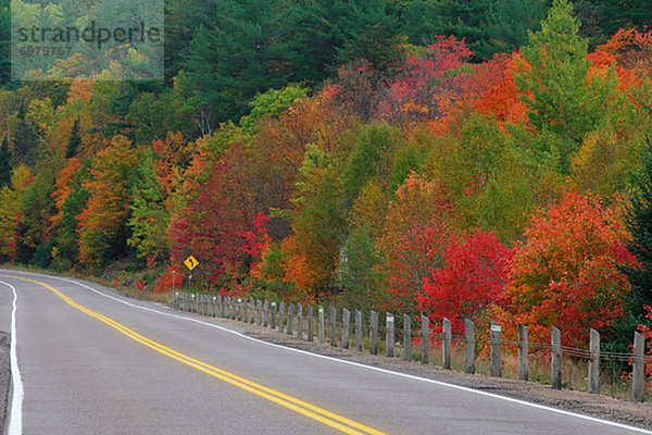 Herbst  Bundesstraße  Ländliches Motiv  ländliche Motive  Algonquin Provincial Park  Kanada  Ontario