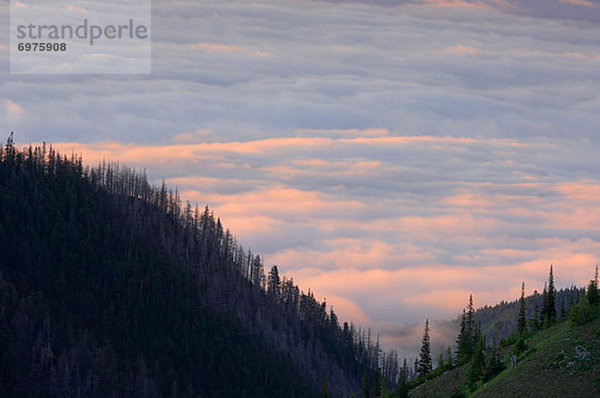 Vereinigte Staaten von Amerika  USA  Olympic Nationalpark