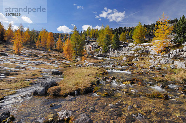 Trentino Südtirol  Bach  Italien