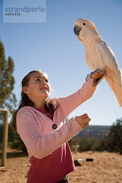 Freundschaft  halten  Tier  Erfolg  Heiligtum  Mädchen  Kakadu  Utah