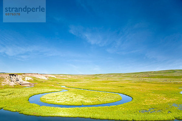 Vereinigte Staaten von Amerika  USA  Tal  Bach  Prärie  Yellowstone Nationalpark  Wyoming