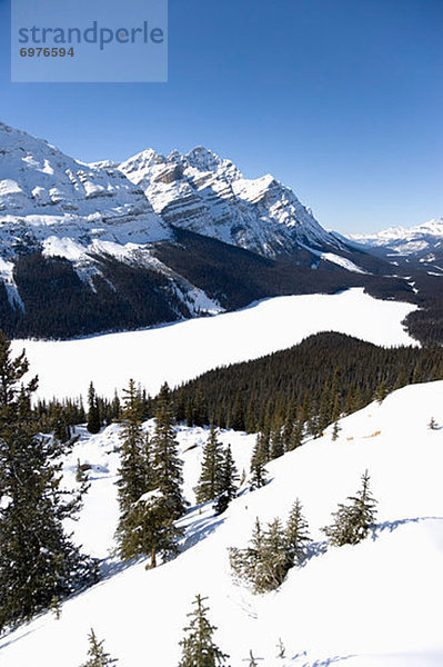 Rocky Mountains  Peyto Lake  Banff Nationalpark  Alberta  Kanada