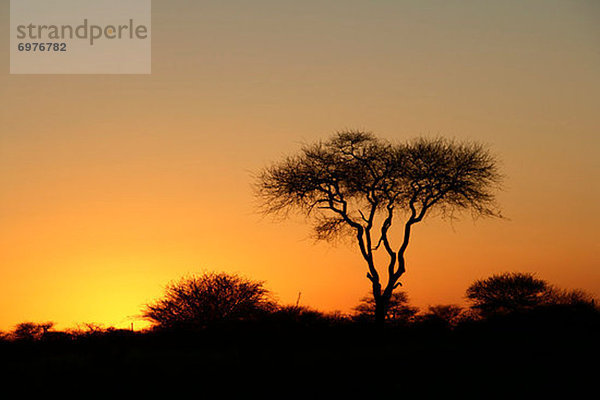 Sonnenuntergang  Namibia