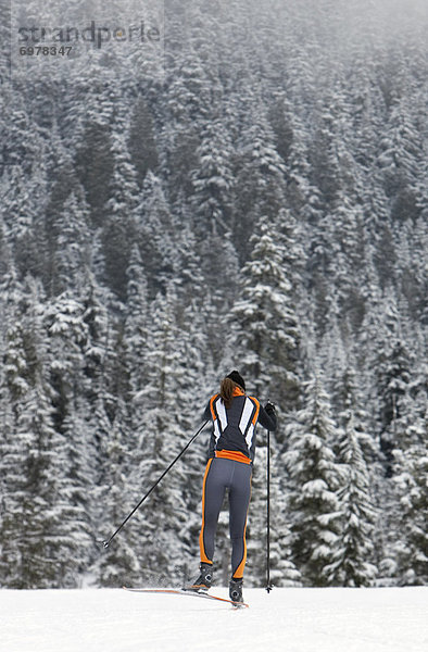 überqueren  Frau  Skisport  Rückansicht  British Columbia  Kanada  Kreuz