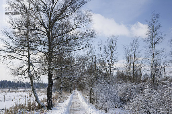 Winter  Weg  Baden-Württemberg  Deutschland
