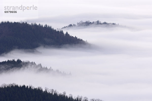 Baden-Württemberg  Schwarzwald  Deutschland