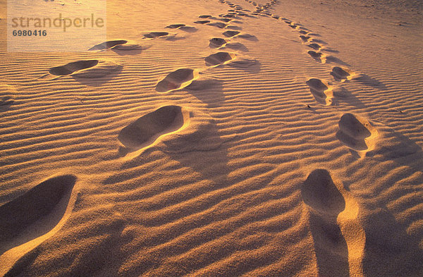 Sonnenuntergang  Sand  Fußabdruck