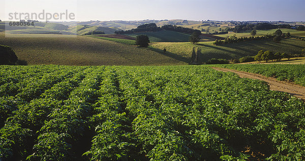 Victoria  Australien