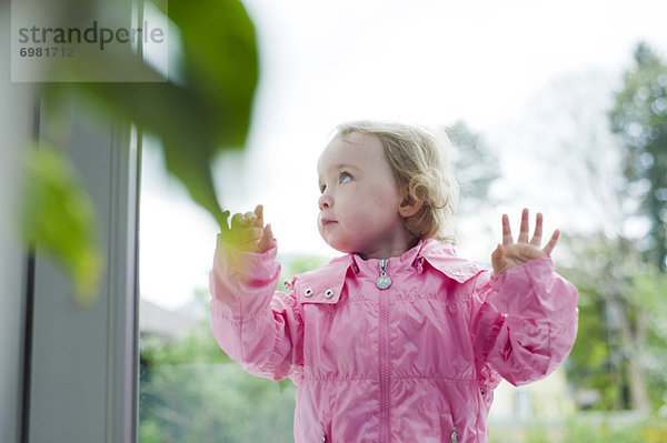 stehend  Fenster  klein  Mädchen