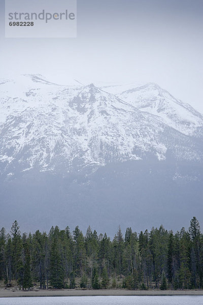 Jasper Nationalpark  Alberta  Kanada