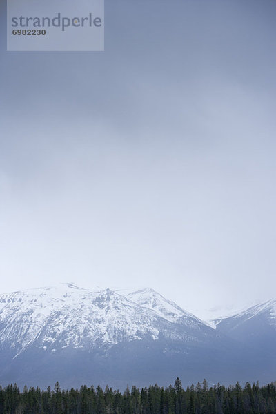 Jasper Nationalpark  Alberta  Kanada