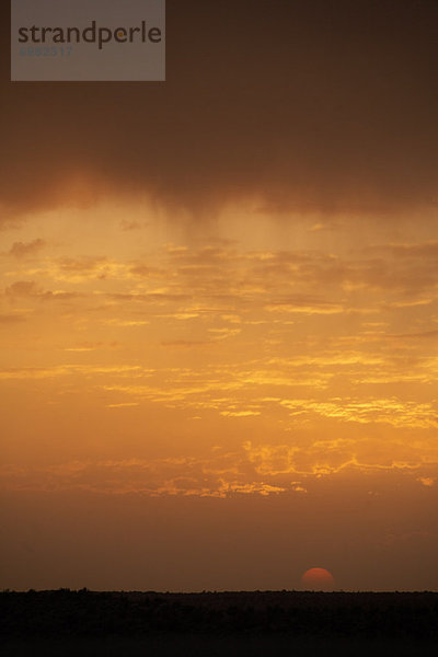 Sonnenuntergang  Indien  Rajasthan  Thar Desert