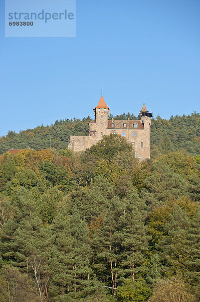 Burg Berwartstein  Erlenbach  Naturpark Pfälzerwald  Pfalz  Rheinland-Pfalz  Deutschland  Europa