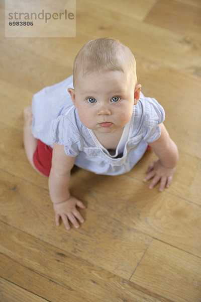 Boden  Fußboden  Fußböden  kriechen  robben  Mädchen  Baby