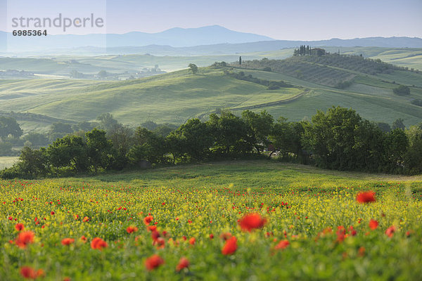 Italien  Toskana