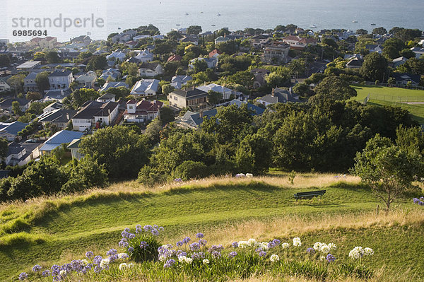 neuseeländische Nordinsel Auckland Neuseeland