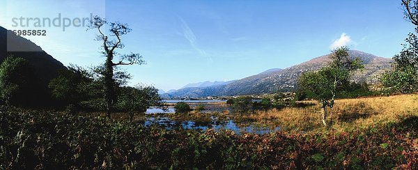 Irland  Ring of Kerry