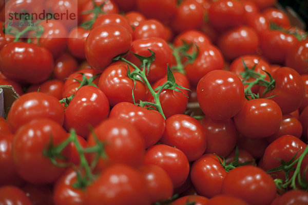 Nahaufnahme-Tomaten
