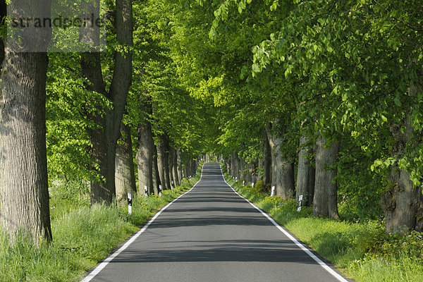 Fernverkehrsstraße  Mecklenburg-Vorpommern  Deutschland