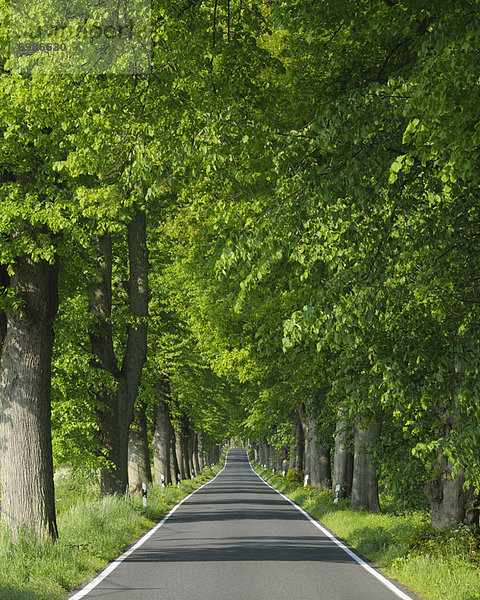 Fernverkehrsstraße  Mecklenburg-Vorpommern  Deutschland