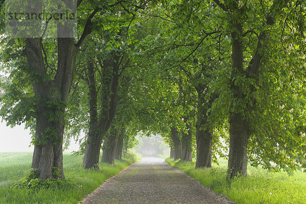 Fernverkehrsstraße  Mecklenburg-Vorpommern  Deutschland