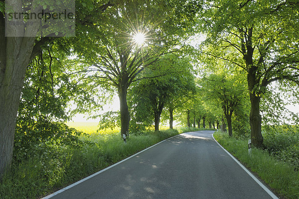 Fernverkehrsstraße  Mecklenburg-Vorpommern  Deutschland