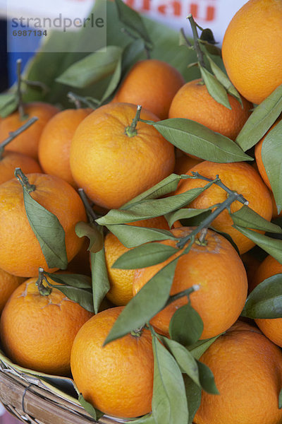 Orange  Orangen  Apfelsine  Apfelsinen  Markt