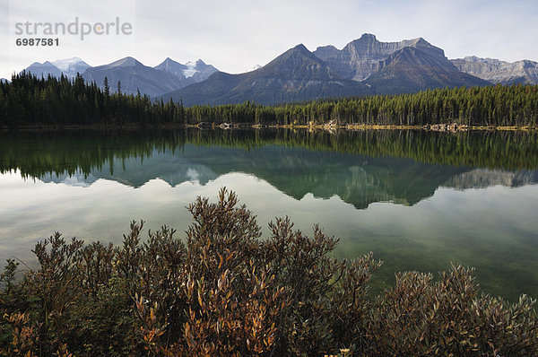 Herbert Lake  Banff-Nationalpark  Alberta  Kanada