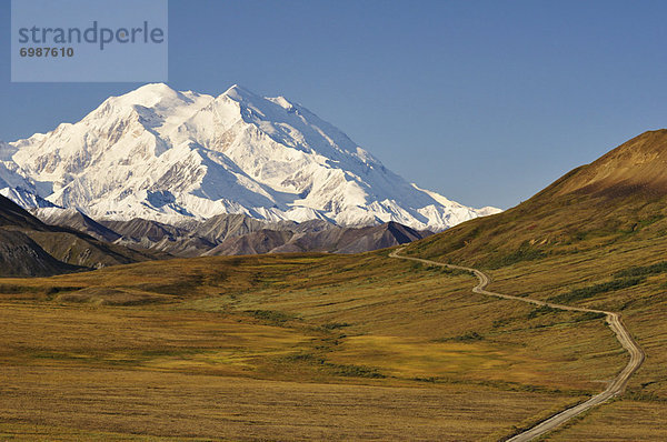 Vereinigte Staaten von Amerika  USA  Denali Nationalpark  Alaska