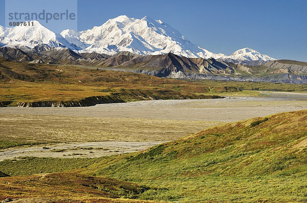 Vereinigte Staaten von Amerika  USA  Denali Nationalpark  Alaska