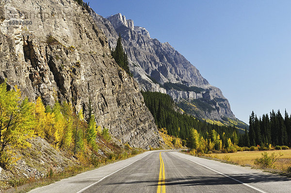 Jasper Nationalpark  Alberta  Kanada