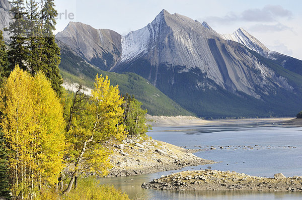 Jasper Nationalpark  Alberta  Kanada