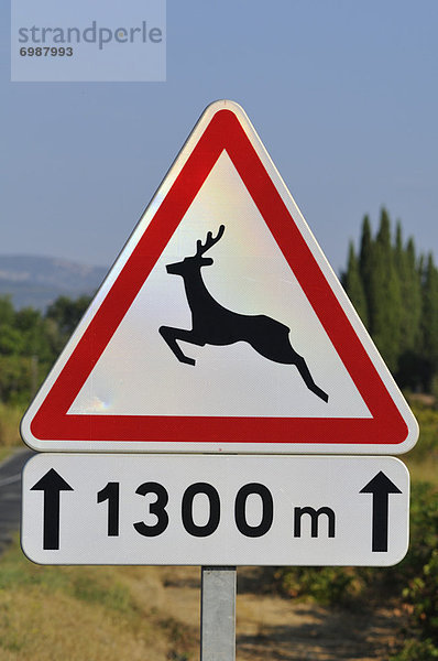 Deer Kreuzung Zeichen
