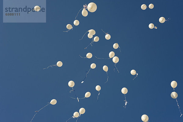 Hochzeit  Luftballon  Ballon  weiß