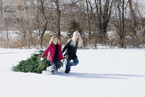 Baum  Weihnachten  ziehen  Mädchen  Schnee