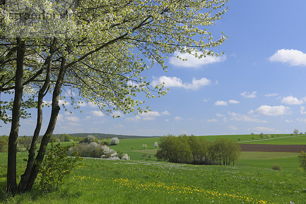 Deutschland  Hessen