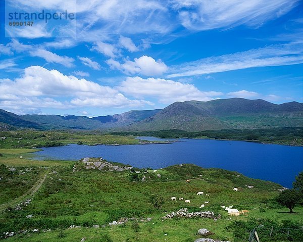 Irland  Ring of Kerry