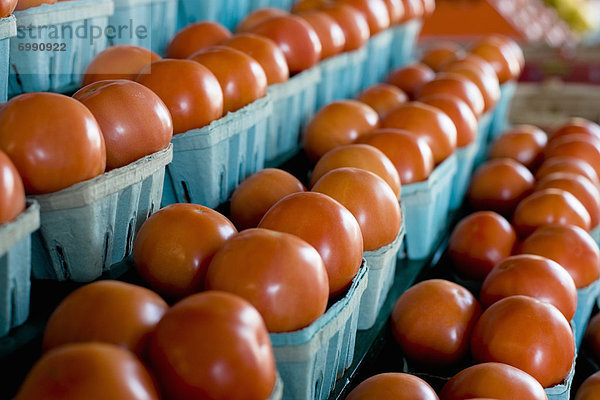 Tomate  Landwirtin  Markt