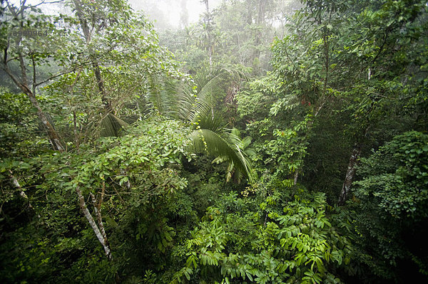 Ecuador