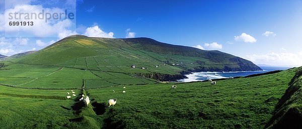 Irland  Slea Head