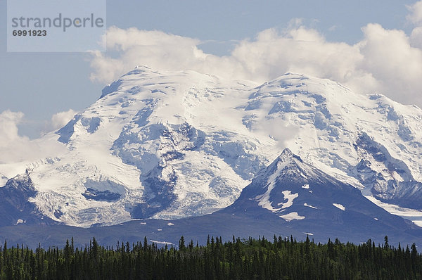Vereinigte Staaten von Amerika  USA  Mount Drum  Alaska  Wrangell Mountains