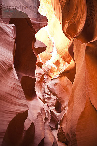 Vereinigte Staaten von Amerika  USA  Arizona  Lake Powell  Antelope Canyon