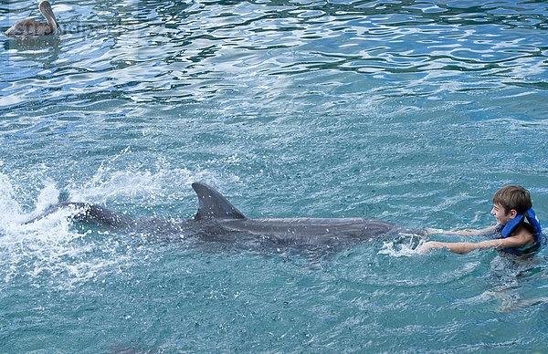 Swimming with Dolphin  Mexcio