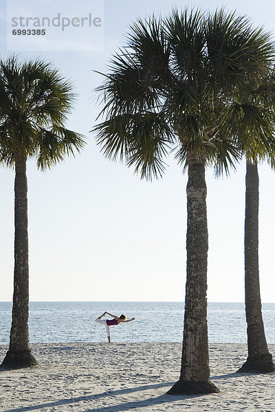 Vereinigte Staaten von Amerika  USA  Florida