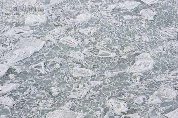 Eisscholle  Weddellmeer